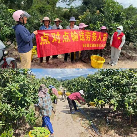 海南就业驿站陵水三才站本周工作汇报（2026.2.2-2.6）