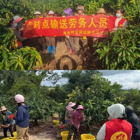 海南就业驿站陵水三才站本周工作汇报（2026.2.9-2.13）