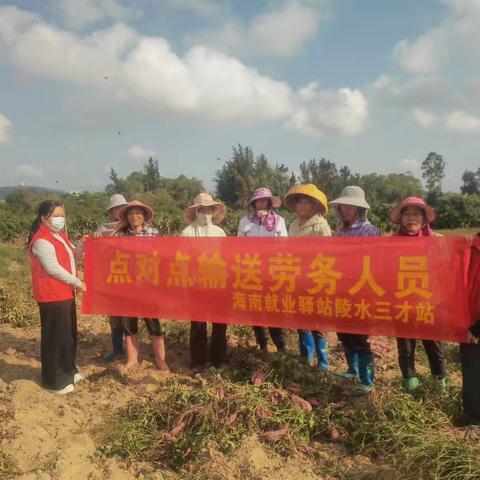 海南就业驿站陵水三才站本周工作汇报（2026.3.23-3.27）