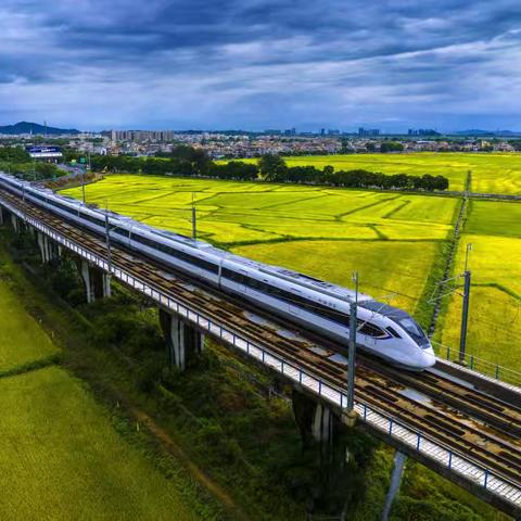 爱路始于心 护路重在行