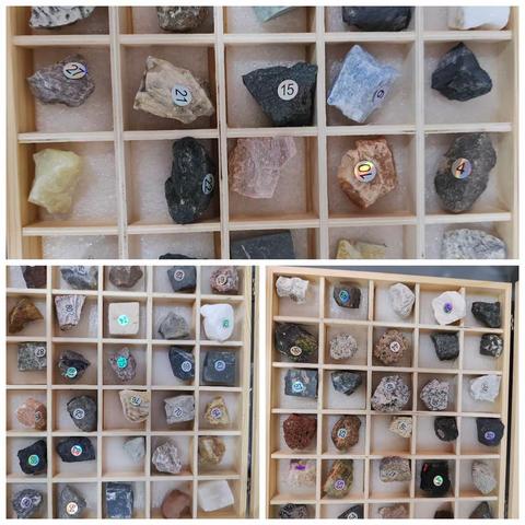 科目：小学科学 培训名称：新课标培训 培训时间：2023年9月25日 培训地点：西宁市城东区学校