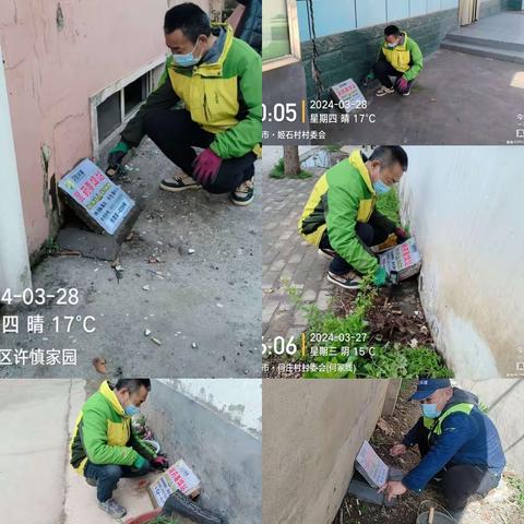 漯河市示范区病媒生物防制工作周报（5）