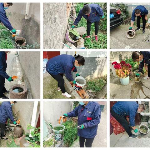 漯河市示范区十月病媒生物防制工作周报（一）