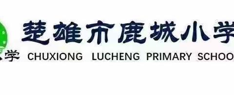 优秀作业展风采，榜样引领同进步——记鹿城小学新教师培训作业成果展示