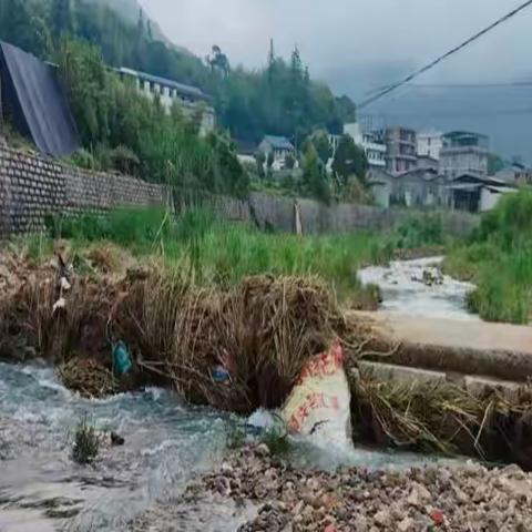 霍口乡开展河道桥洞清理活动