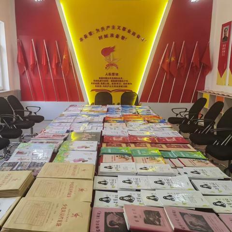 高举队旗跟党走——团市委书记刘威力一行到元宝山区星光小学调研指导少先队工作