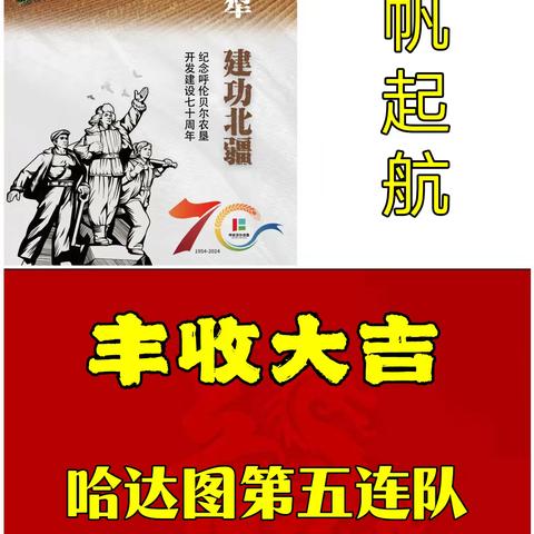 麦穗黄 收获忙