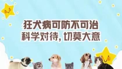 “我服务  您健康”—狂犬病预防，我们在行动