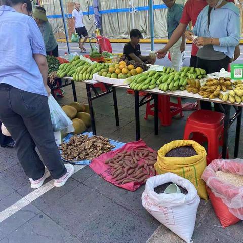 礼赞丰收   助力乡村振兴