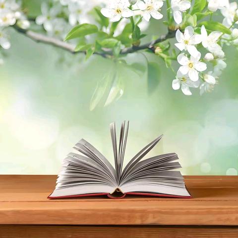 “书香沁润心灵，图书点亮童年”——庄坞镇中心小学班级图书角展示活动