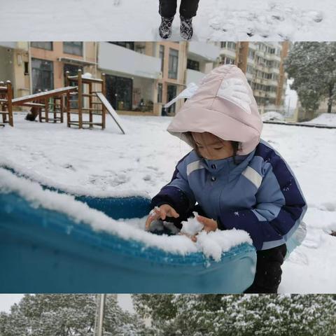 记录幼儿园快乐生活——中三班一周生活