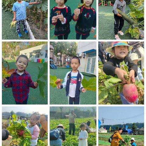 一起分享秋天的小欢乐🍁🍂