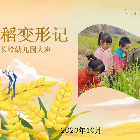 长岭幼儿园大班班本课程-《水稻🌾变形记》