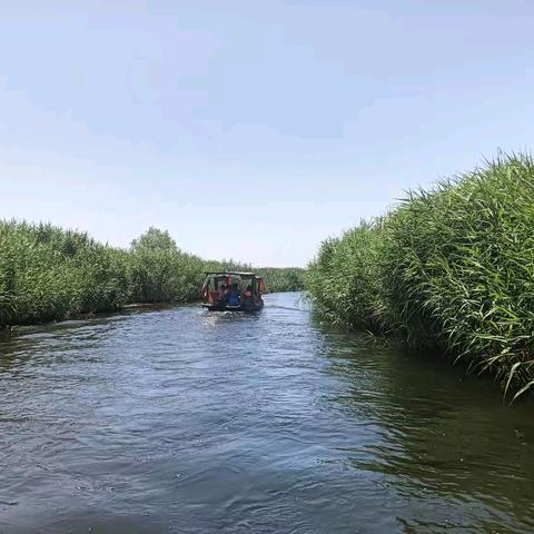 夏天的脚步——纵情六月，白洋淀之旅