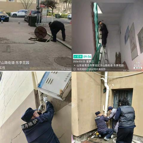 青岛美域物业东李花园 三月份第四周物业周报