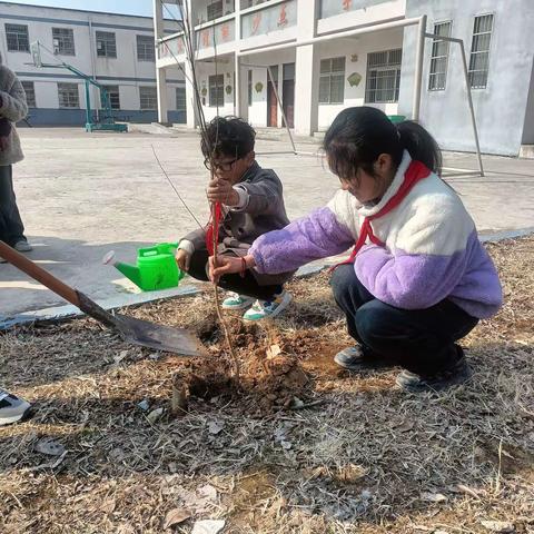 “植”此青绿，“树”写春天——胡巷小学植树节系列活动