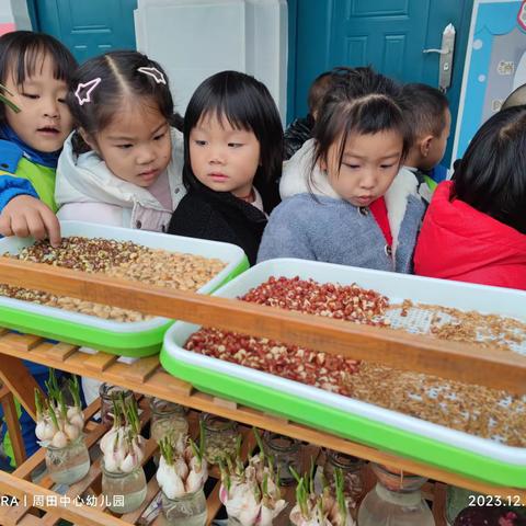 【班级动态】“爱在冬日，温暖同行”——周田中心幼儿园小二班第十七周班级动态