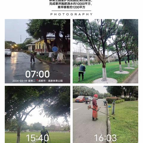 体育公园、神仙树公园、月牙湖楔形绿地绿化管护工作日报—— 2024年3月19日