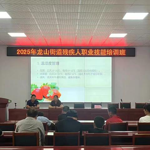 草莓种植培训 走进龙山街道 --龙山街道办事处开展残疾人职业技能培训班