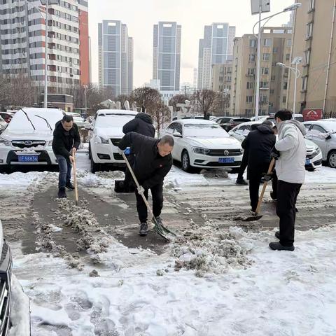 党员齐上阵 除雪暖民心