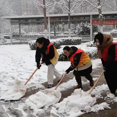 【暖心清河 一心为民】“迎雪奋战 保驾护航 ”——华山街道翡翠清河社区居委会开展扫雪除冰活动