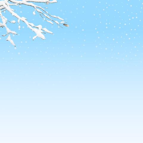 【文幼·节气】小雪初至·冬趣已始——长清区文昌中心幼儿园小雪节气活动