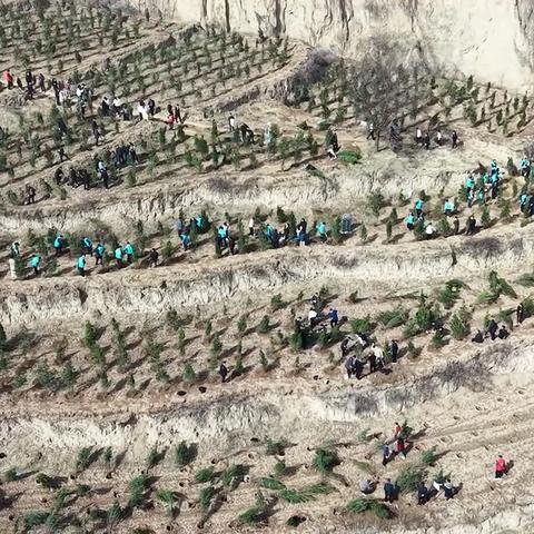 春回大地万物苏 植树添绿正当时 ‍———长武县县级机关干部义务植树活动圆满举行
