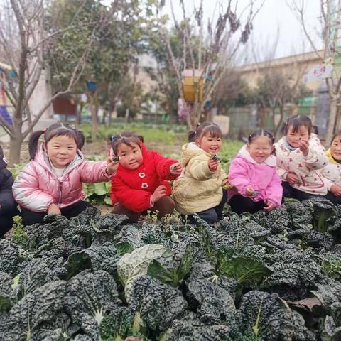 爱上幼儿园🏠，快乐😁每一天→_→芽芽班萌娃👶🏻一周掠影📷