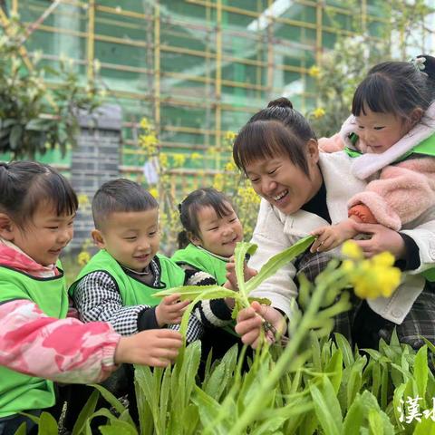 爱上❤️幼儿园🏠，快乐😁每一天🌻→_→芽芽班美篇