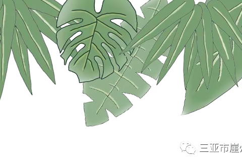 小课题研究，前期调研准备工作--海口市美兰区实验幼儿园中班组小课题研究