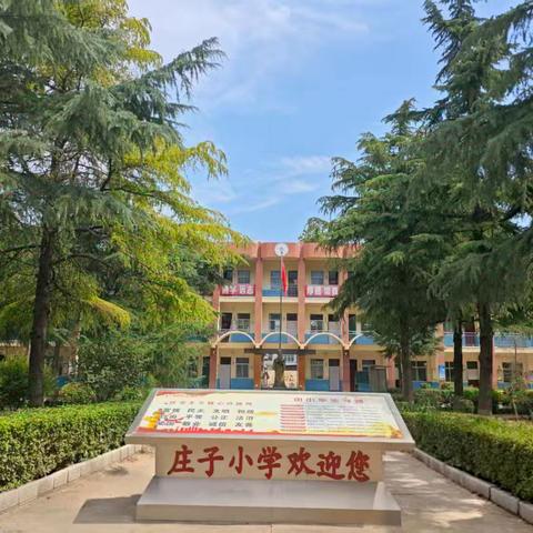 课标领航 素养筑基 ---庄子小学听课观摩活动