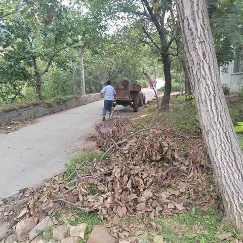 大五里镇开展爱国卫生运动