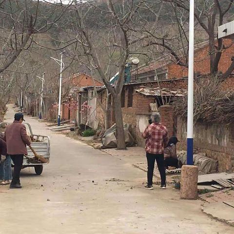 大五里镇开展爱国卫生运动