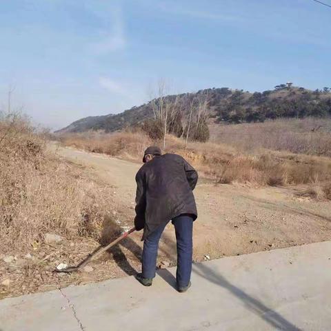 大五里镇开展爱国卫生运动