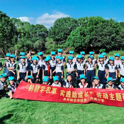 泉州师范学院第二附属小学203班 躬耕学农事·实践助成长研学之旅