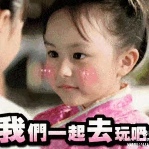 曲堤首届闻韶文化美食节8月23日到8月31日盛大举办