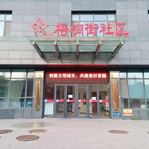 梧桐街社区学雷锋•文明实践我行动主题活动