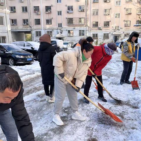 南山街道信合社区开展“解民忧，清积雪，保障出行暖人心”