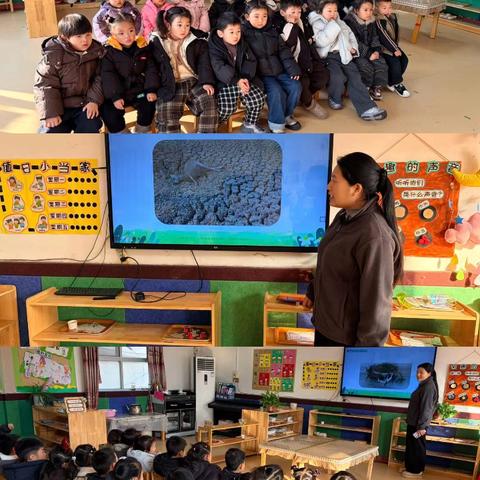 生命之源：一场与“水”的奇妙邂逅