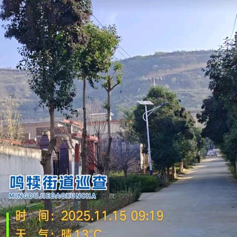 鸣犊街道生态环境保护工作日报