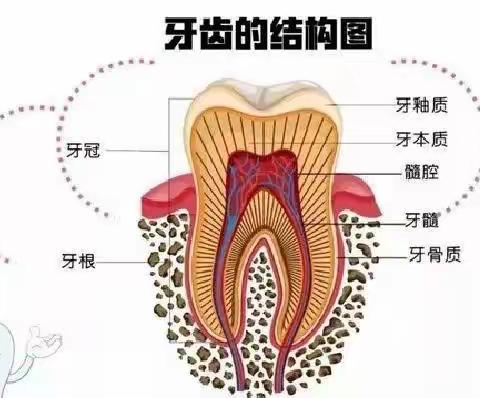 牙洞不补，反而根管治疗？