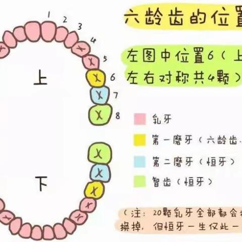孩子【六龄齿】坏了，是没得换的！90%父母都不知道！