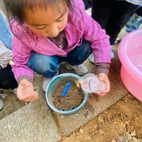 大湾镇天天幼儿园果果班第三周周报