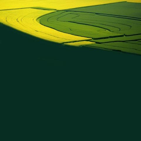 【教改实验区项目推进】 ﻿精耕细作促成长，匠心淬炼提质量 ﻿——红星小学开展作业教案常规检查