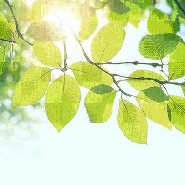 【石家庄市草场街小学教育集团】 你好，秋天 趣味学习、玩转快乐 ——一年级语文综合实践活动