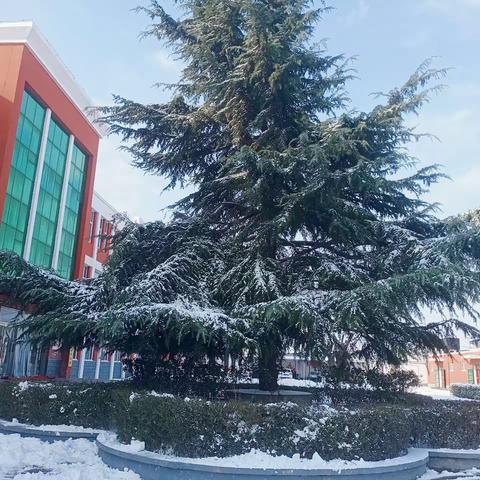 雪舞银装校园美 铲雪除冰暖人心‖——闸口小学清雪纪实