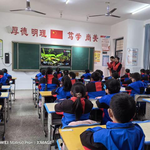 沙头小学“世界野生动植物日主题教育”宣讲活动