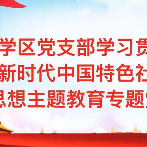 丰乐学区党支部开展学习贯彻习近平新时代中国特色社会主义思想主题教育专题党课