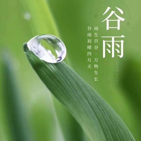 【节气课程】雨润百谷，万物生长——县直机关杜康路幼儿园二十四节气之谷雨