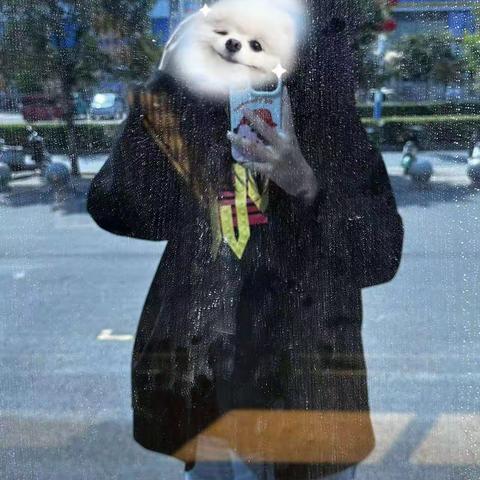 输入文字